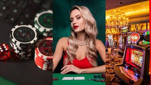 5t bet